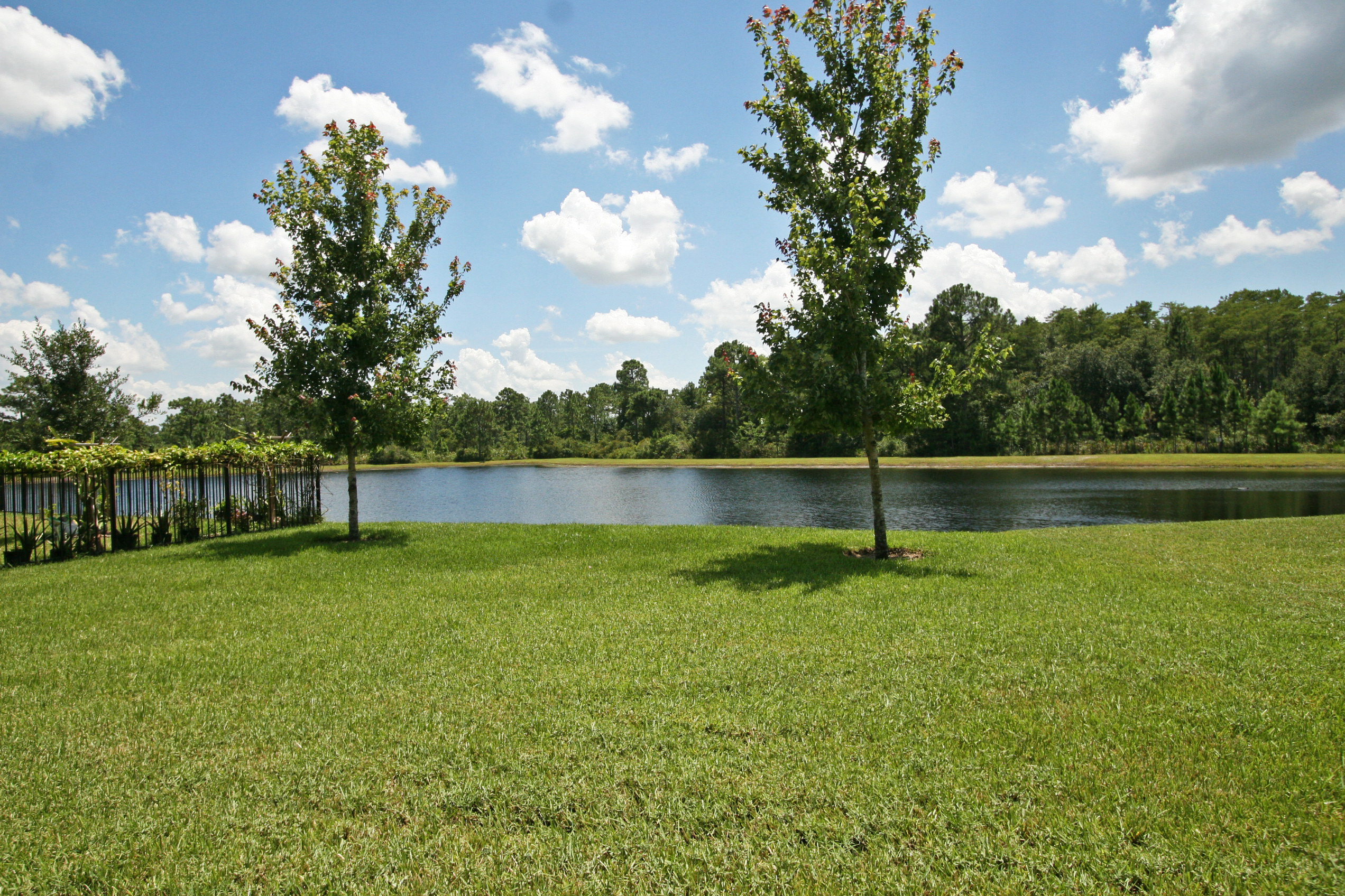 Lake View Yard