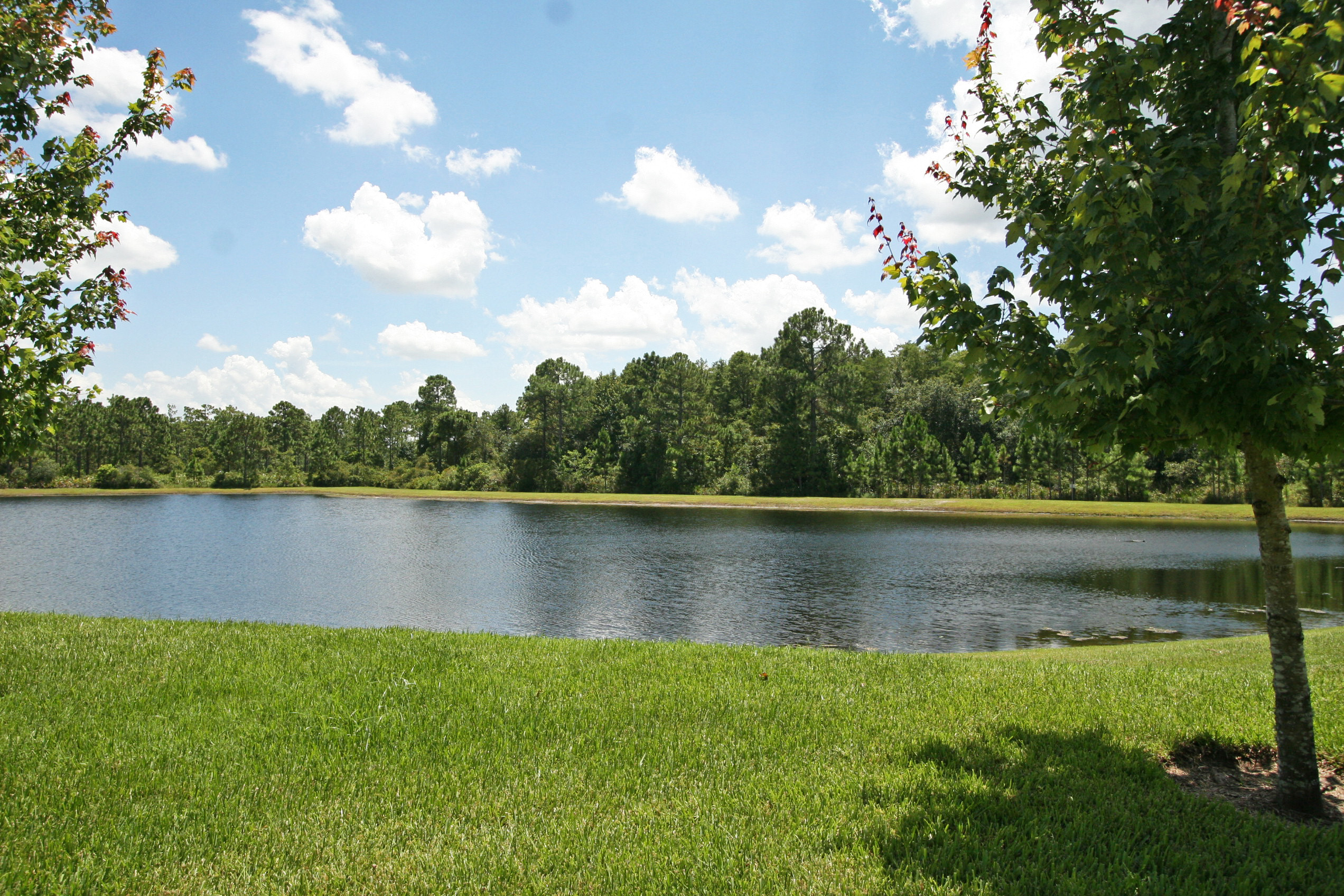 Beautiful Lake View